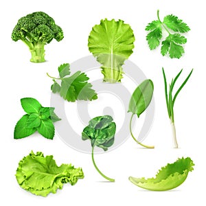 Green vegetables and herbs set