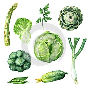 Green Vegetables Set photo