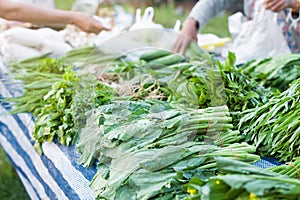 Green vegetables on street market