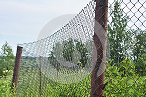 Green vegetation behind a metal wire mesh fence. Old rusty grid and metal pipes with greens on a blurred background. Temporary or