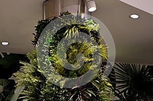 Green vegetation columns in the hotel lobby, offices. with overhead lighting halogens shine on plants to photosynthesize. complex