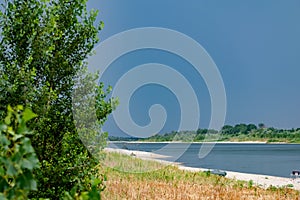 Green vegetation over the don river in the Rostov region in overcast weather. Under a grey, rainy sky. Rare colors of nature in sc