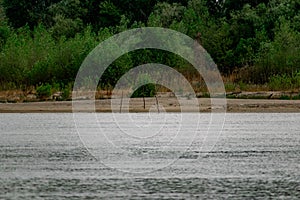 Green vegetation over the don river in the Rostov region in overcast weather. Under a grey, rainy sky. Rare colors of nature in sc