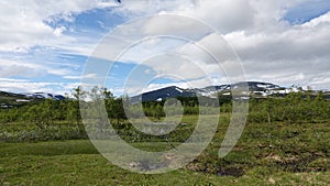 Green vegetation in summer time on Wilderness Route in Sweden