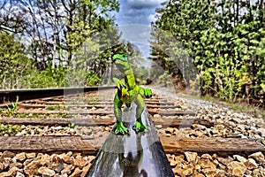 Green Velociraptor dinosaur walking on rail railroad tracks