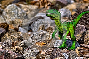 Green Velociraptor dinosaur walking among the rocks