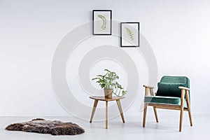 Green velvet armchair