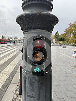 Green vertical bicycle traffic light near pedestrian crossing