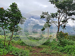 Green view mountain scenery cloudy tropic morning