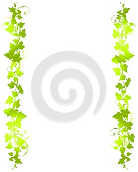 Green Vine Leaf Background Borders