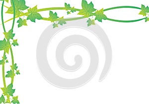 Green Vine Leaf Frame