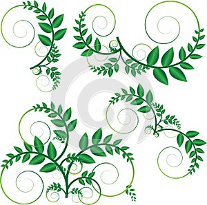 Green vine vector