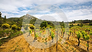 Green Vines in CorbiÃ¨re Wine Region Rolling Landscape in front of Aguilar Cathar Castle in Aude, France