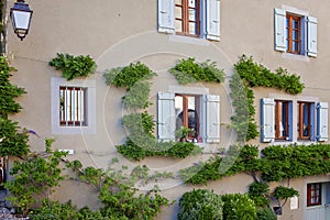 Green vines on a Yvoire home with quaint shutters.