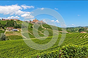 Green vineyards on the hills near Castiglione Falletto, Italy