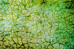 Green vintage background