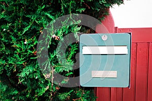 Green vintage mailbox on a red wooden fence with fluffy thuya