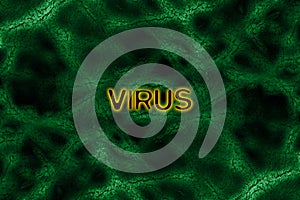 Green virus background