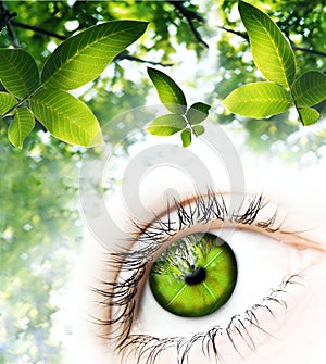 Green Vision