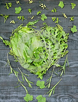 Green vitamin heart