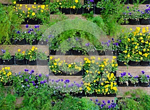 A green wall, also known as a living wall or vertical garden