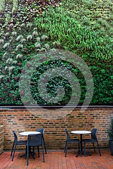 Green wall in loft cafe interior. Eco architecture. Ecology and green living in an urban city environment. An exterior wall