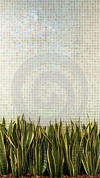 Green wall tile porcelain mosaic texture background with green leaves plant. beautiful cozy vintage style interior home decoration