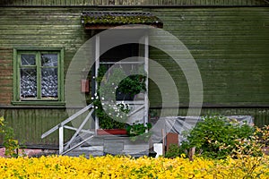 green wall of a wooden country house on an autumn day