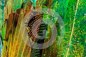 Wall zinc rusty texture background