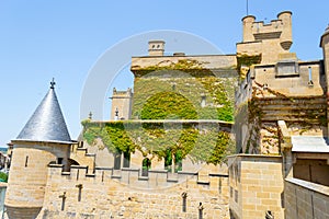 Green walls in Olite