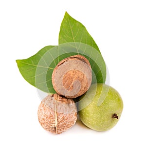 Green walnut, isolated on white background. Peeled walnut and kernels. Walnuts branch.