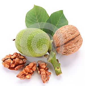 Green walnut; peeled walnut and its kernels.