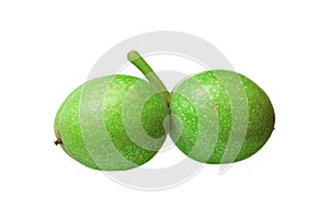 Green walnuts isolated on white background