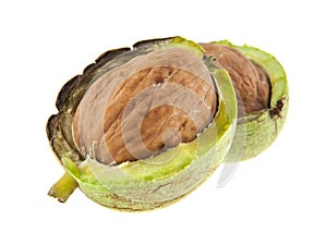 green walnuts isolated on white background