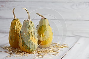 Green warty pumpkins on white planks