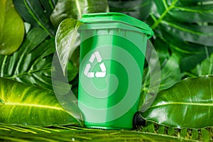 Green waste bin with recycling symbol standing among the natural lush greenery of the rainforest, Environmental concept,