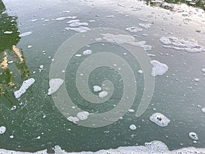 Green waste water in a pond with white bubbles.