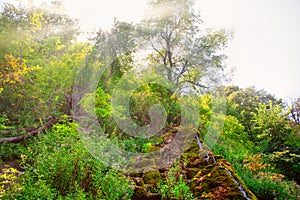 Green Water Cascade