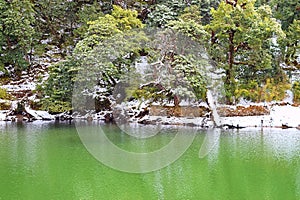 Green Water of Deoria or Deoriya Tal Lake and Snow Covered Trees in Himalayan Forest - Winter Landscape - Uttarakhand, India