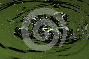 Green water drop making waves