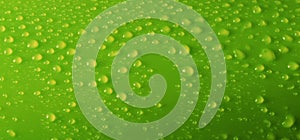 Green water drops background