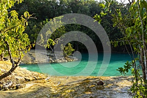 Green water in the forest. Krabi, Thailand