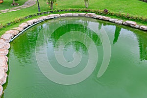 Green water pond tropical lake