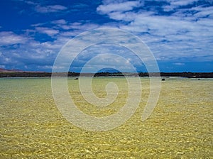 Green water in a quiet bay near the ocean. Coast of black volcanic rock. Glare on the water. Waves from the breeze. Light wind