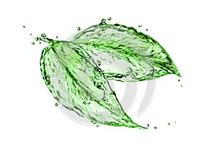 Green water splash leaves