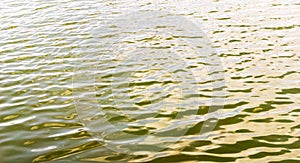 Green water surface in a pond, emerald water texture background, lime green water with wave