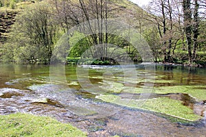 Green water trail at Monsal Head England