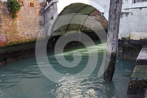 Green water under the bridge in the canal of Venice in summer during quarantine without gondolas and peopl