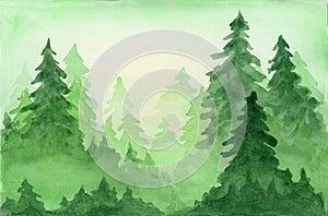 Green watercolor background with coniferous forest