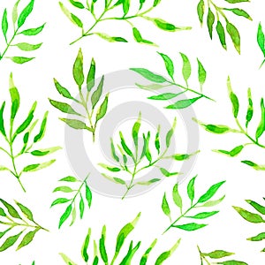 Green watercolor leaves on white background. Seamless pattern